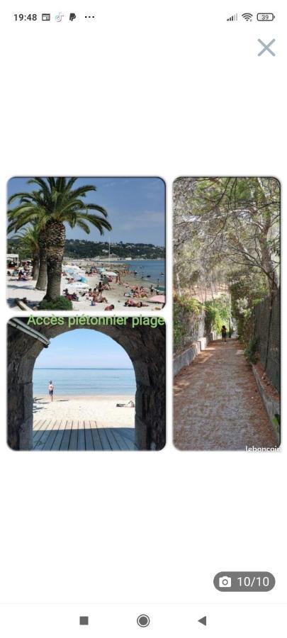 Studio Rdj Terrasse Piscine Sanary Sur Mer Exterior photo